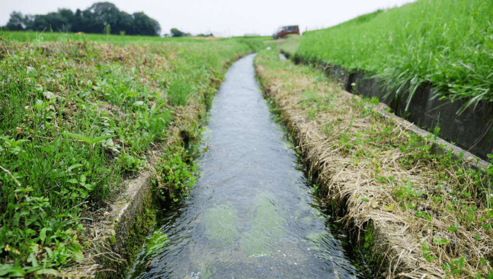 検査機器